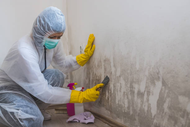 Water Damage Restoration in Lebanon, TN
